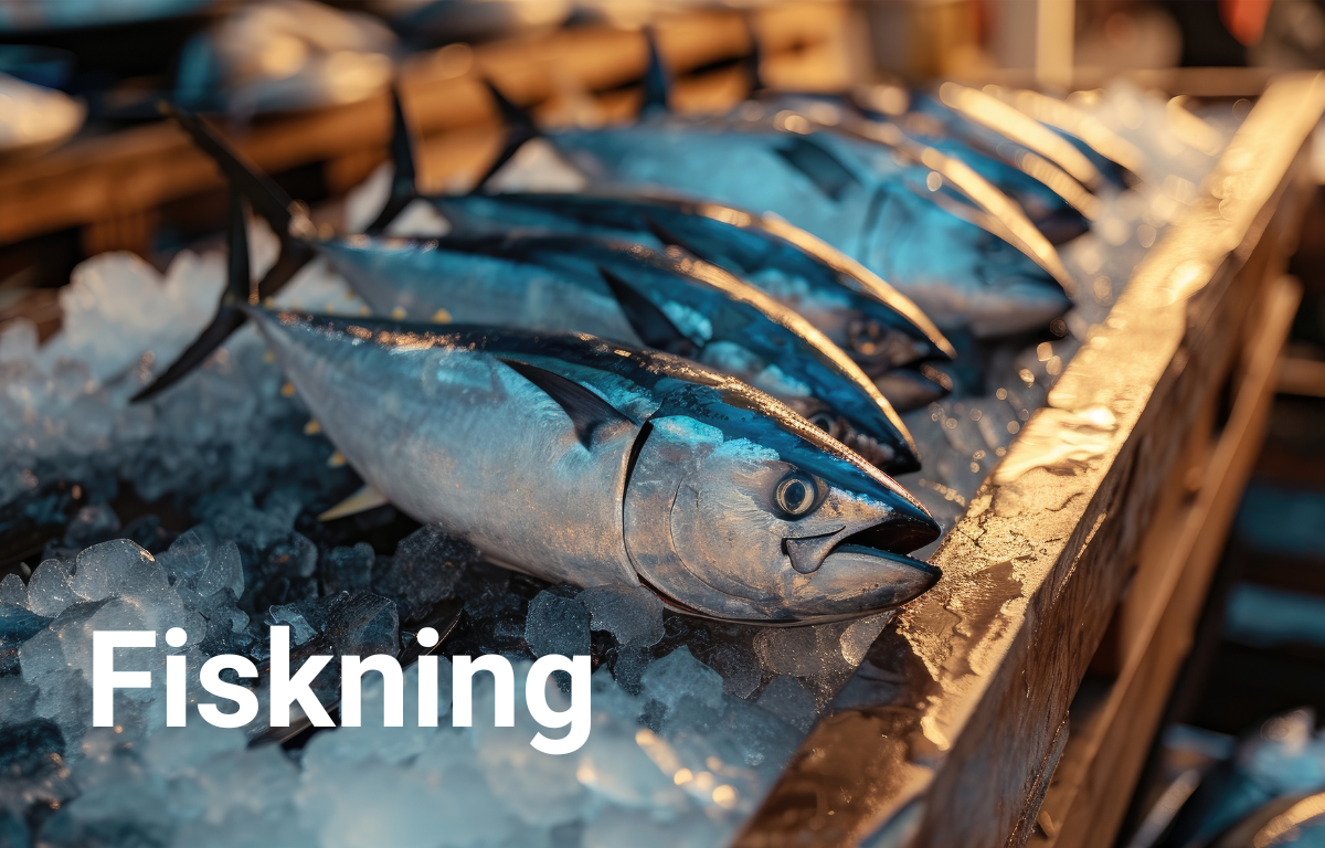 Fiskning