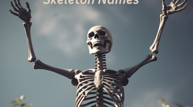 Skeleton Names