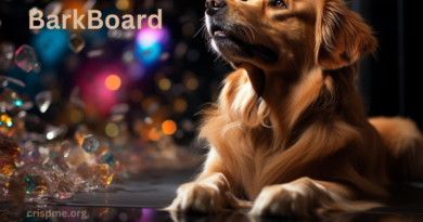 BarkBoard