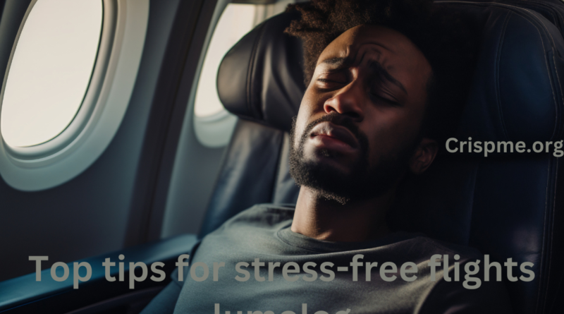 Top tips for stress-free flights lumolog