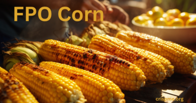 FPO Corn